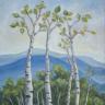 Spring in Aspens (2007)